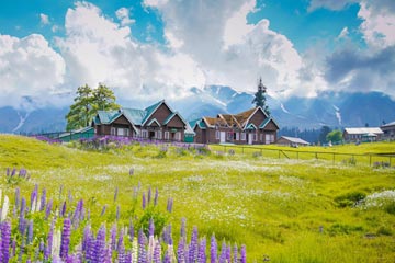 Kashmir tour packages