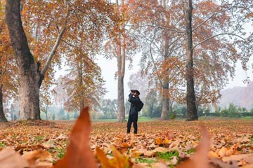 kashmir tourism