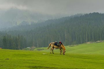 kashmir packages