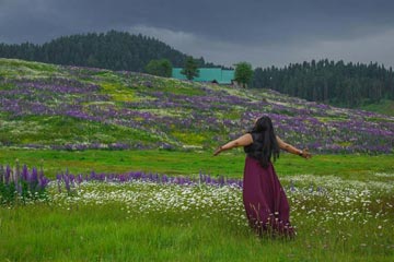 kashmir travel package