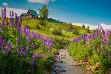 kashmir tour travel