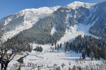 tour packages to kashmir