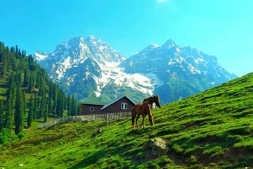 travel packages to kashmir