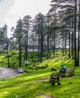 tour to Kashmir