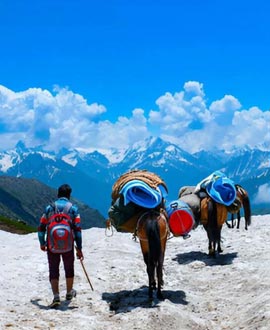Kashmir tour travels